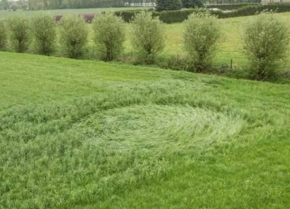 crop circle at Bosschenhoofd | April 29 2018