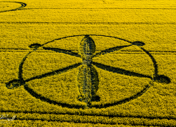 crop circle at Willoughby Hedge | May 8 2018