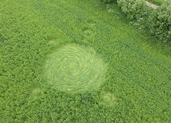 crop circle at Hoeven | May 14 2018