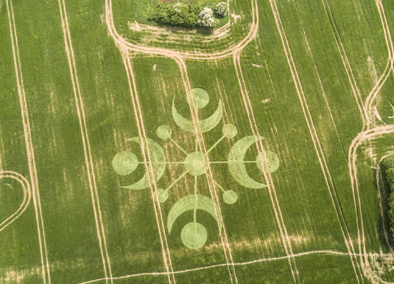 crop circle at Buckland Down | May 26 2018