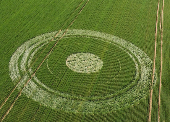 crop circle at White Way | June 2 2018