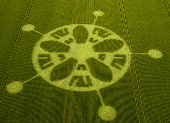 crop circle at Winterbourne Stoke | June 17 2018