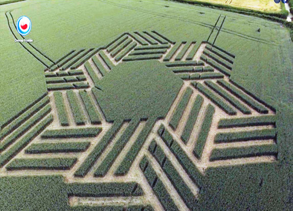 crop circle at Oudebildtdijk | June 21 2018