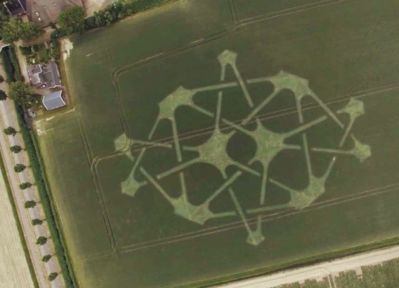 crop circle at Oudebildtdijk | June 21 2018