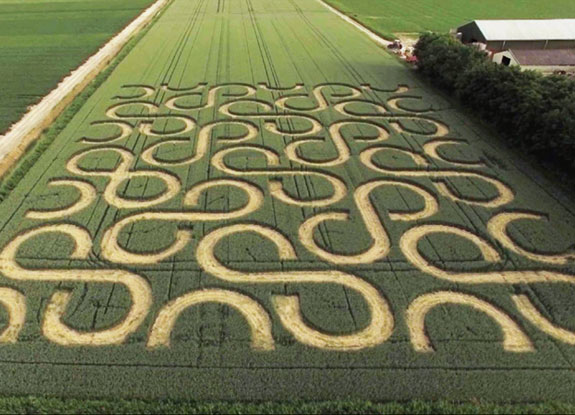 crop circle at Oudebildtdijk | June 21 2018