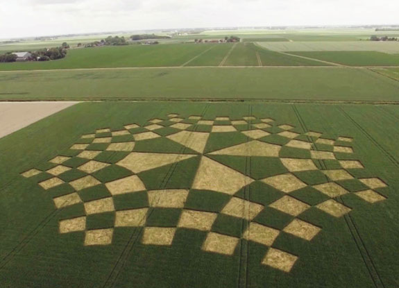 crop circle at Oudebildtdijk | June 21 2018