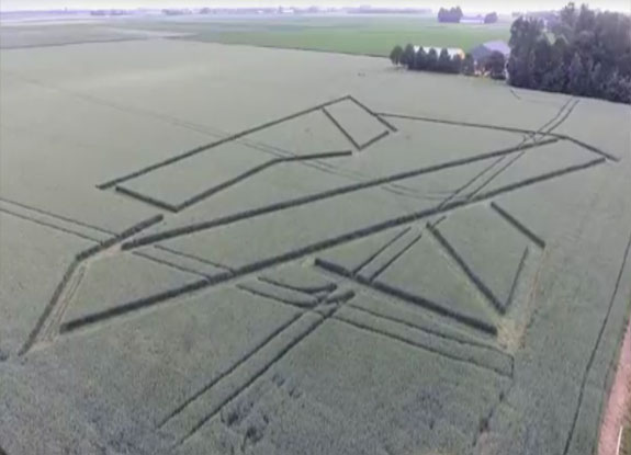 crop circle at Oudebildtdijk | June 21 2018