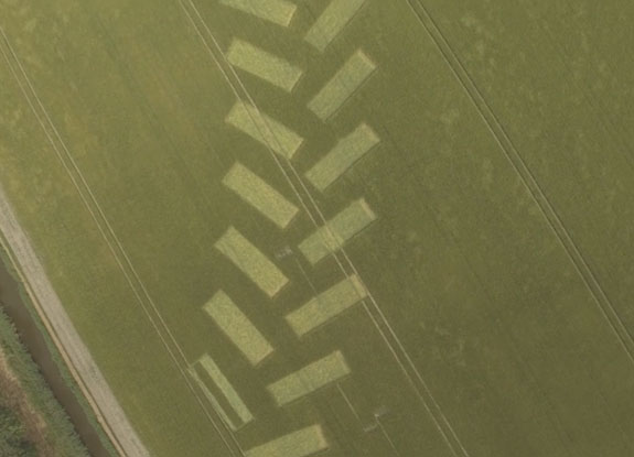 crop circle at Oudebildtdijk | June 21 2018