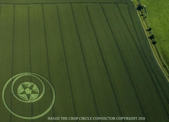 crop circle at Broad Hinton | June 23 2018