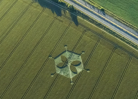 crop circle at Yarnbury Castle | June 24 2018