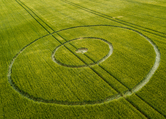 crop circle at Alton | July 1 2018