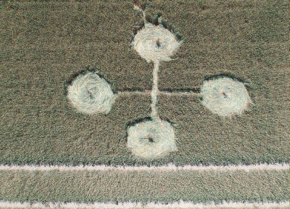 crop circle at Woodborough | July 2 2018