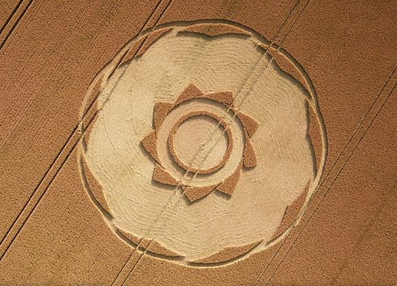 crop circle at Longwood Warren | July 10 2018