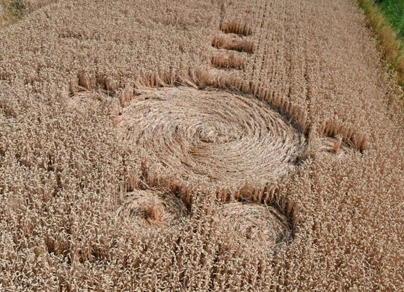 crop circle at Zevenbergen | July 11 2018