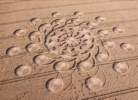 crop circle at Muncombe Hill | July 14 2018