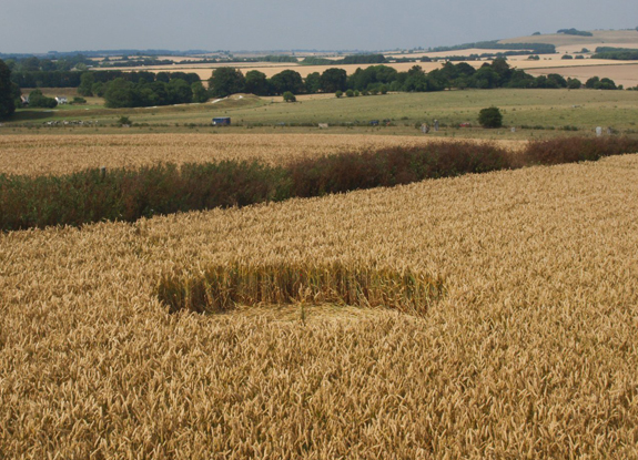 crop circle at Waden Hill | July 20 2018