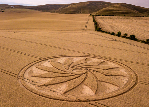 crop circle at Clifford's Hill | July 21 2018