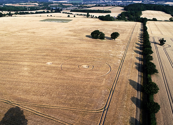 crop circle at Wyke Lane | July 27 2018