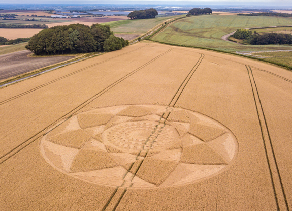 crop circle at Hackpen Hill | July 29 2018