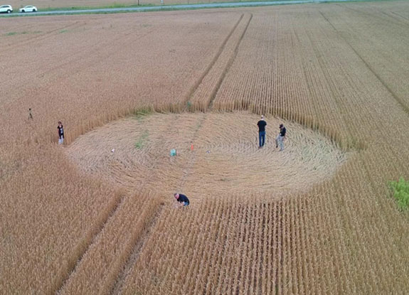 crop circle at Quebec | July 31 2018