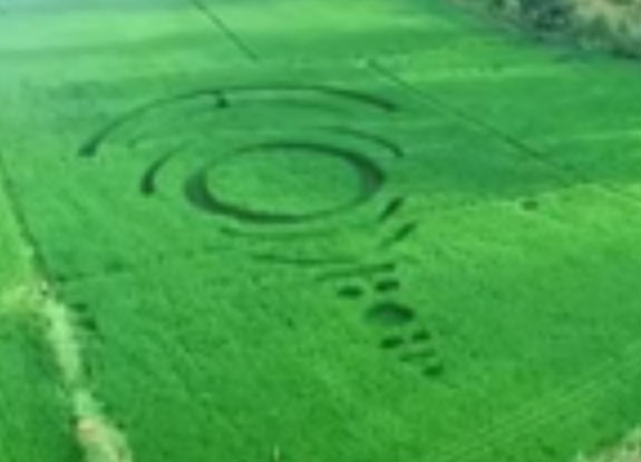 crop circle at NuevaEcija | August 4 2018