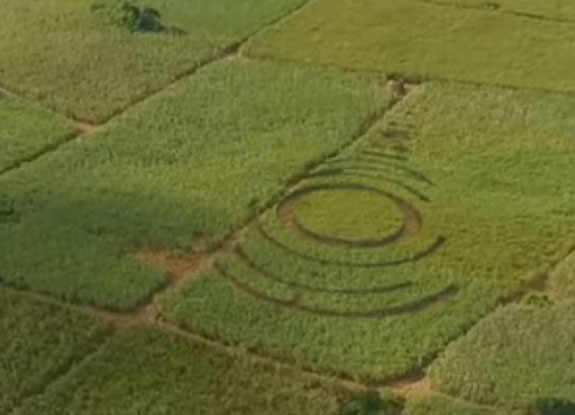 crop circle at Nasugbu | August 5 2018