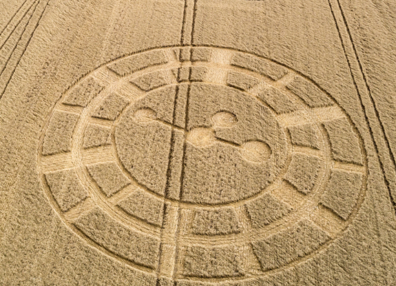 crop circle at Fonthill Bishop | August 13 2018