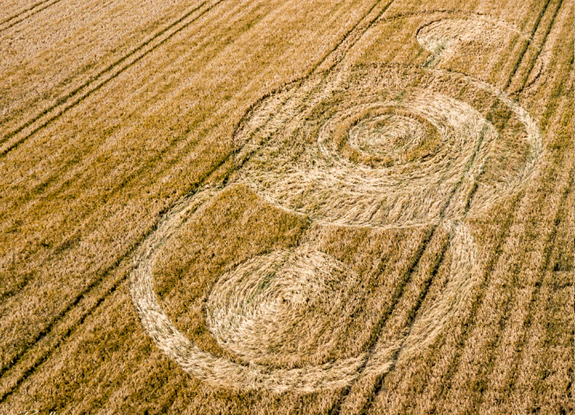 crop circle at Norridge Wood | August 14 2018