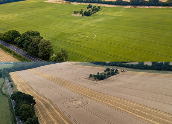 crop circle at Alton | July 1 + August 19 2018