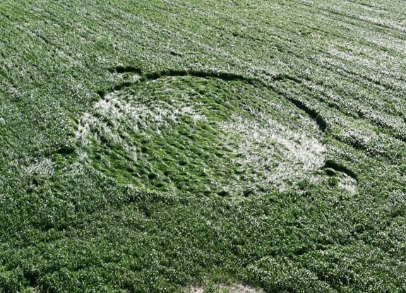 crop circle at Hoeven | October 16 2018