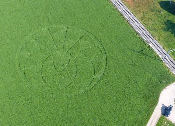 crop circle at Nierderscherli | October 19 2018