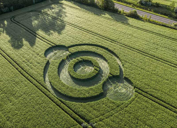 crop circle at Norridge Wood | May 22 2019