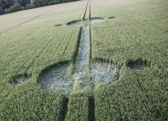 crop circle at Bosschenhoofd | May 27 2019