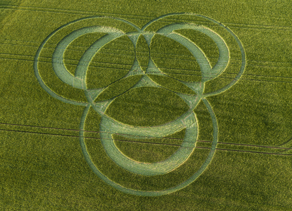 crop circle at Long Wood | June 2 2019