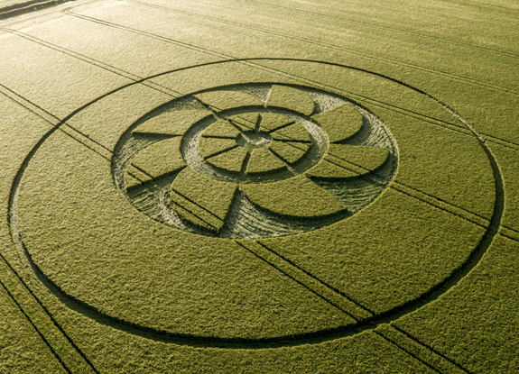 crop circle at Owlesbury | June 11 2019