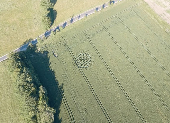 crop circle at Saint-Jean-de-Bassel | June 14 2019