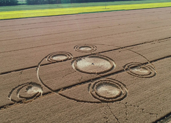 crop circle at Sokolovskoe | June 23 2019