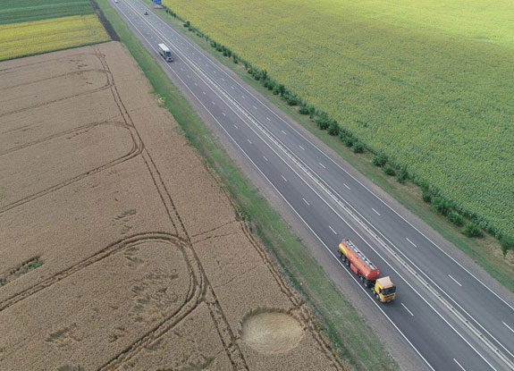 crop circle at Sokolovskoe | June 23 2019