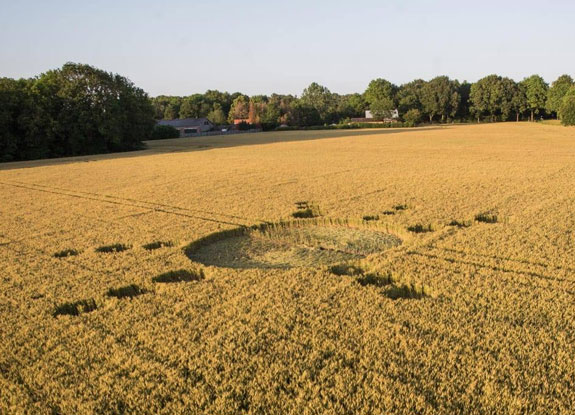 crop circle at Boosschenhofd | June 26 2019