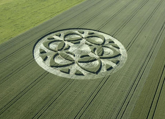 crop circle at Büren an der Aare | June 27 2019