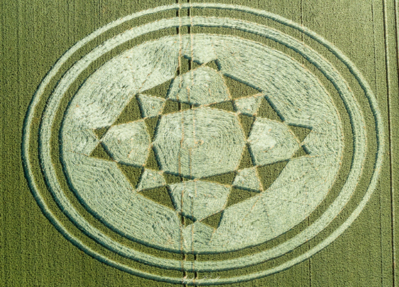 crop circle at Danebury Hill | July 1 2019