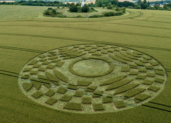 crop circle at Farley Mount | July 8 2019