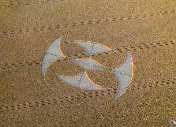 crop circle at Auchy-les-Mines | July 16 2019