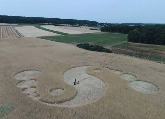 crop circle at Auchy-les-Mines | July 16 2019