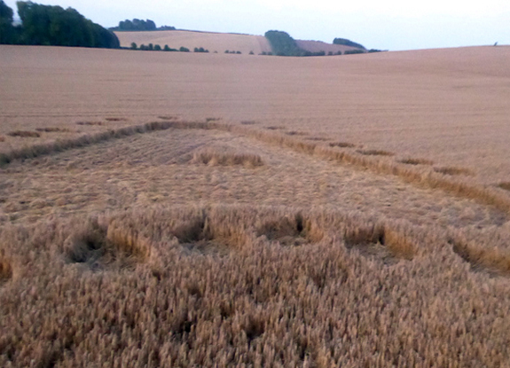 crop circle at Uffington | August 18 2019