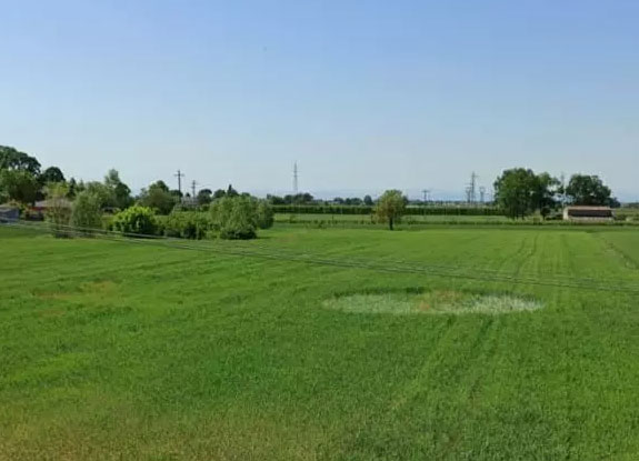 crop circle at Saterno | May 8 2020