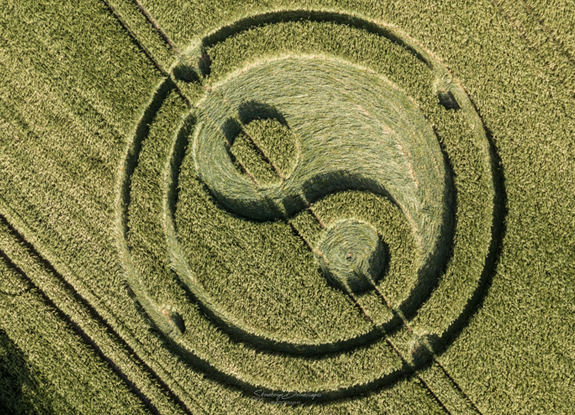 crop circle at Cley Hill | May 30 2020