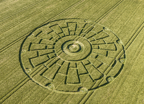 crop circle in Sixpenny Handley | May 31 2020