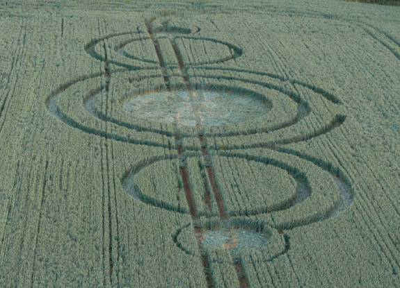 crop circle in Marlborough | June 11 2020