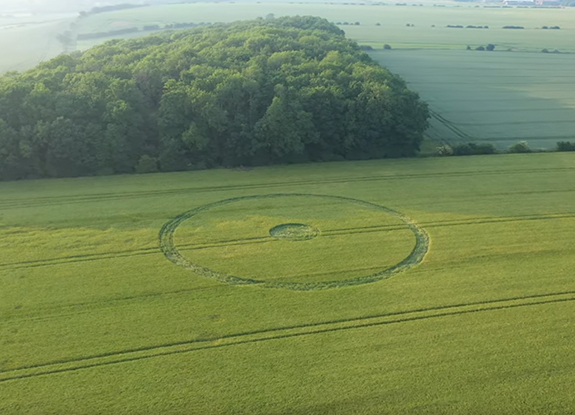 crop circle in Darrington | June 16 2020